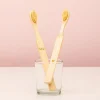 Bamboe tandenborstels (set van 2)