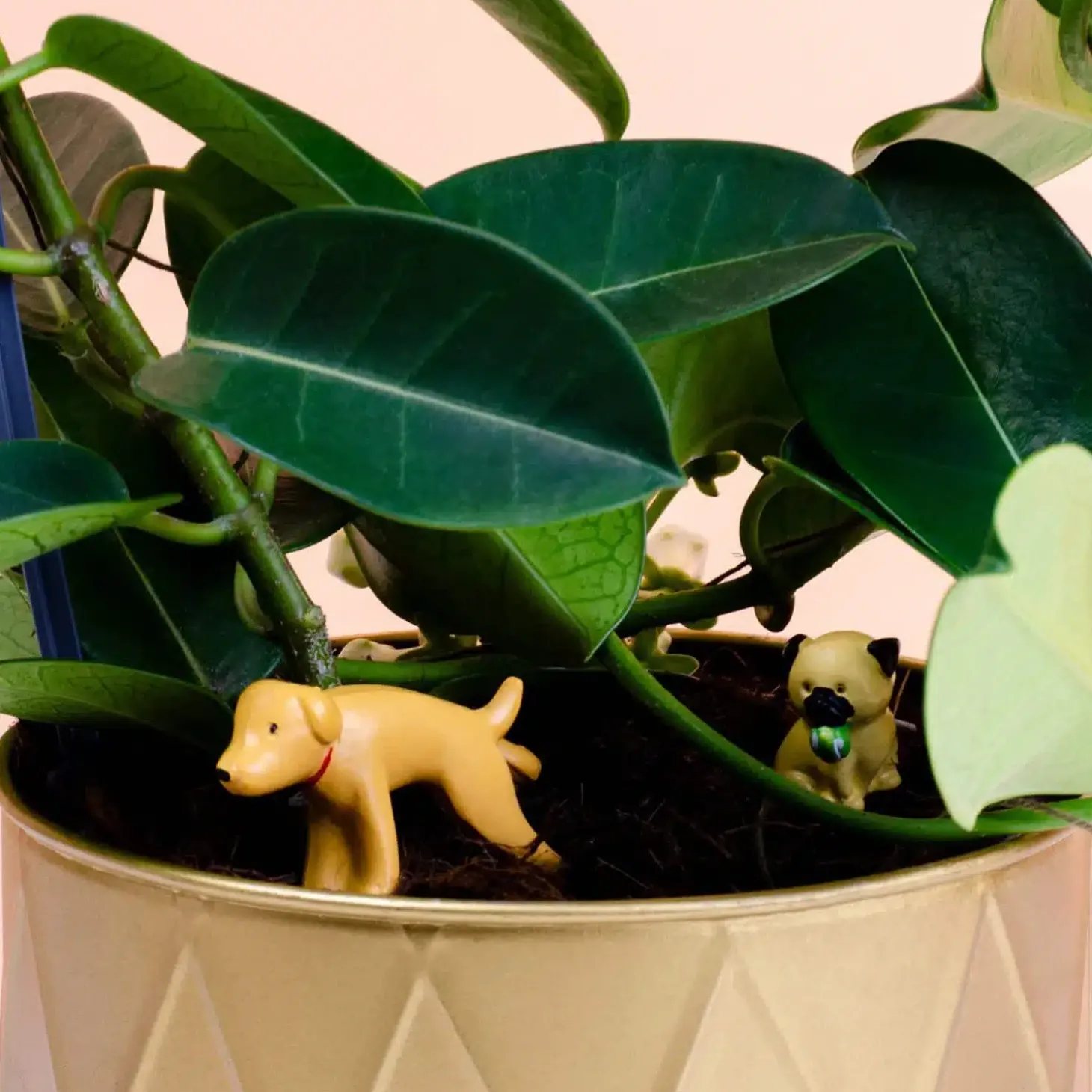 Bloempot honden (set van 4)