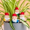 Bloempot kabouters (set van 4)