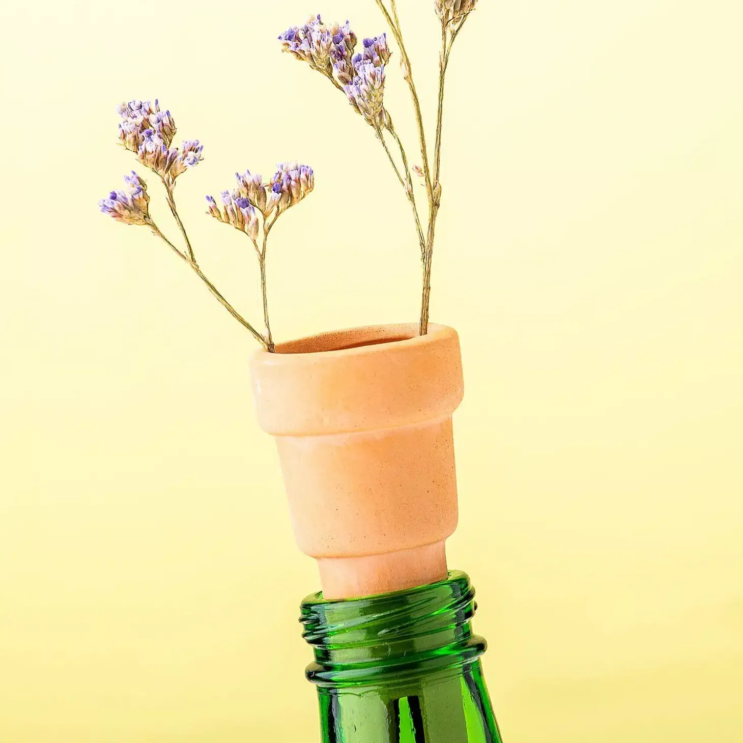 Bottle top herb planters (set van 3)