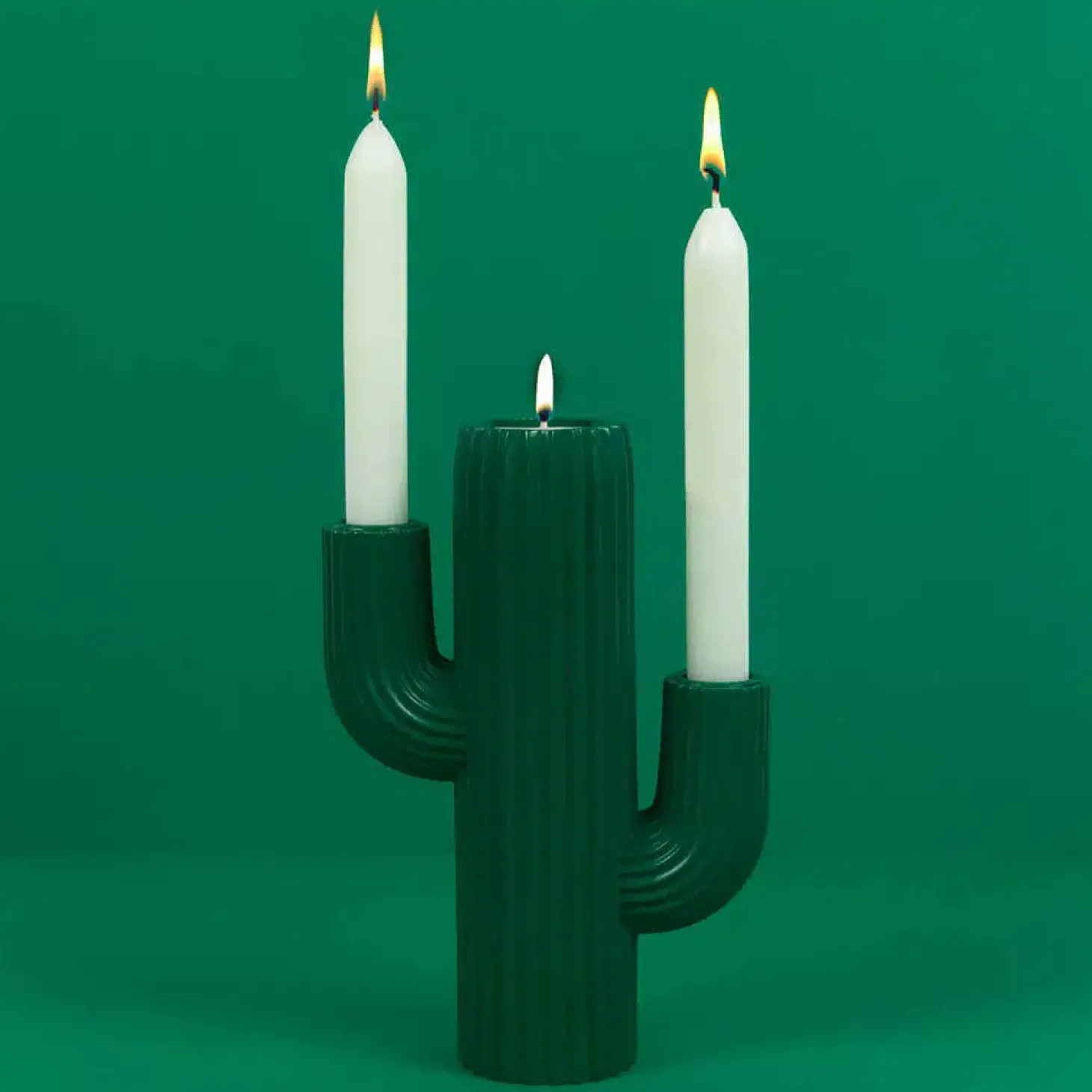 Cactus kandelaar