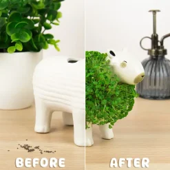 Capibara bloempot met zaadjes