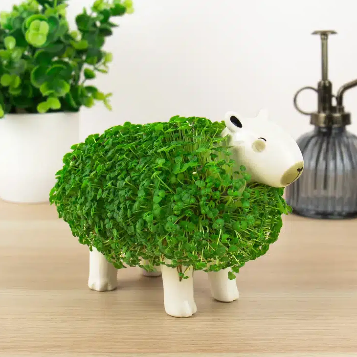 Capibara bloempot met zaadjes