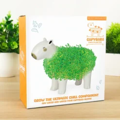 Capibara bloempot met zaadjes