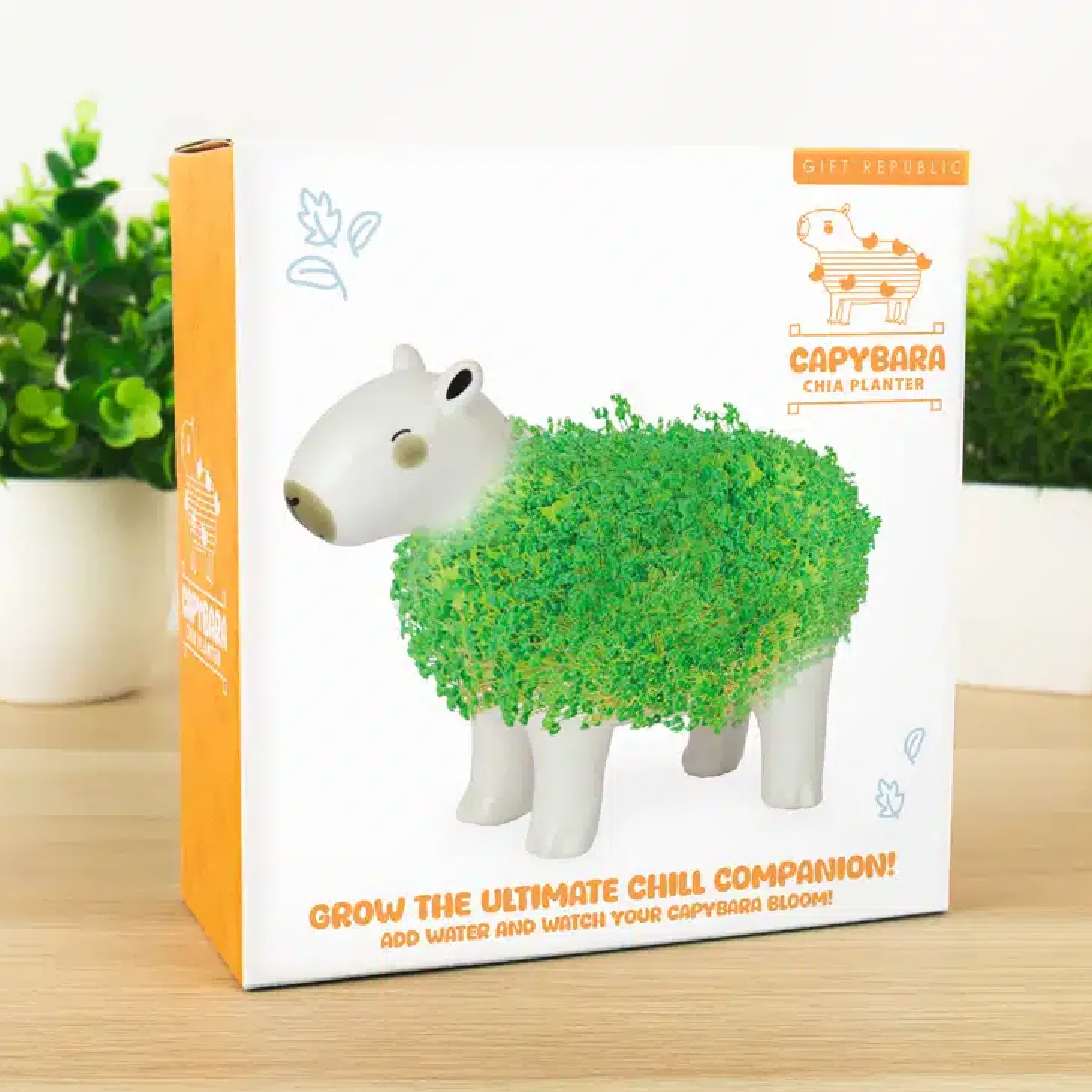 Capibara bloempot met zaadjes