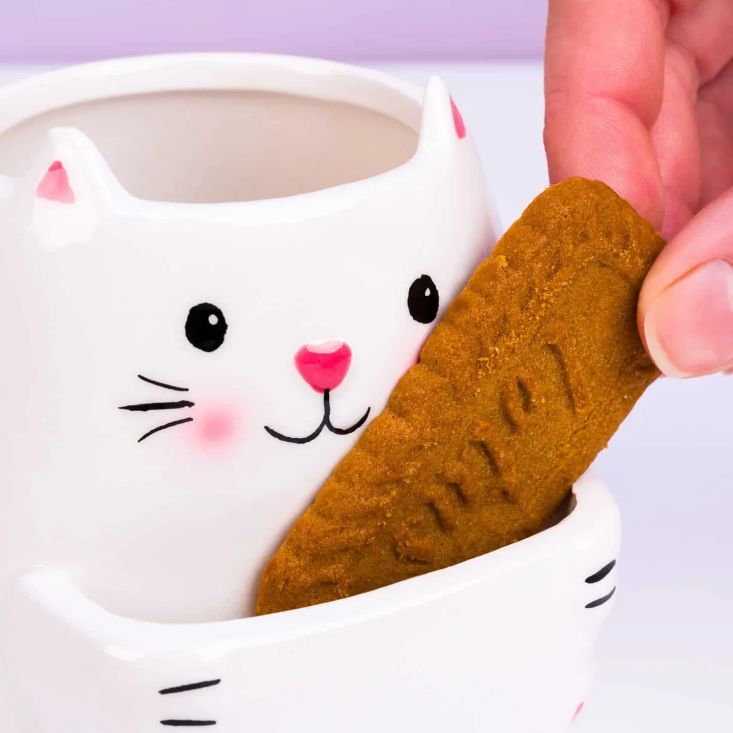 Dierenmok met koekvakje