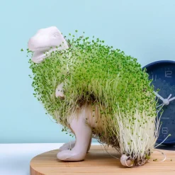 Dino bloempot met zaadjes