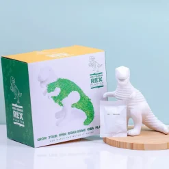 Dino bloempot met zaadjes