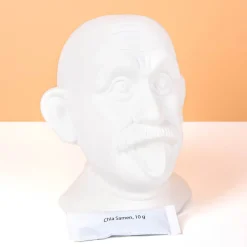 Einstein bloempot met zaadjes
