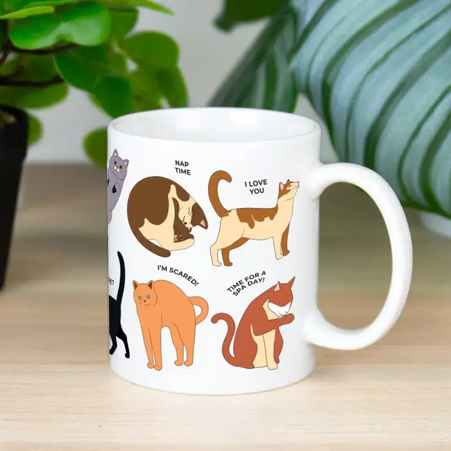 How To Speak Cat mok