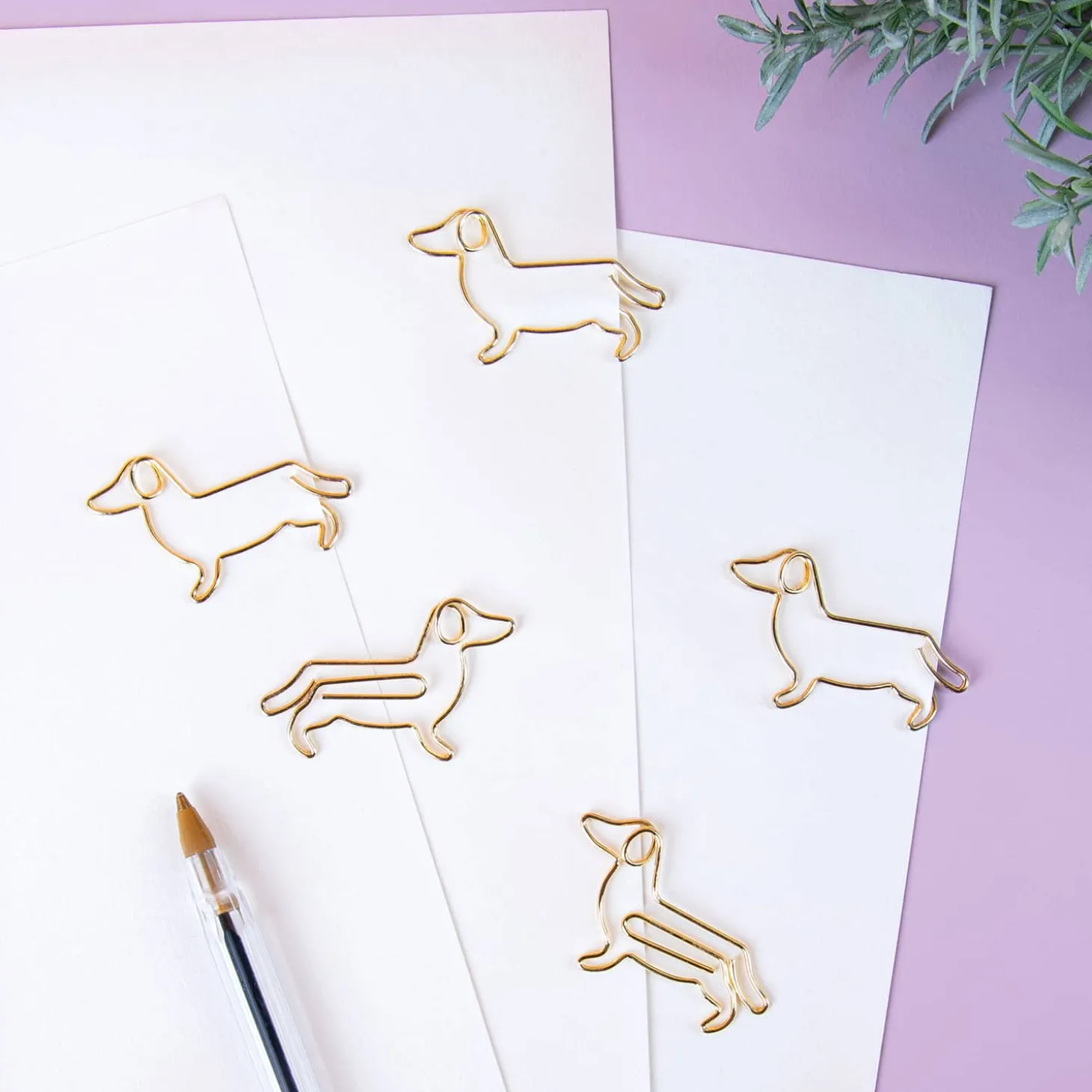 Huisdier paperclips (set van 5)