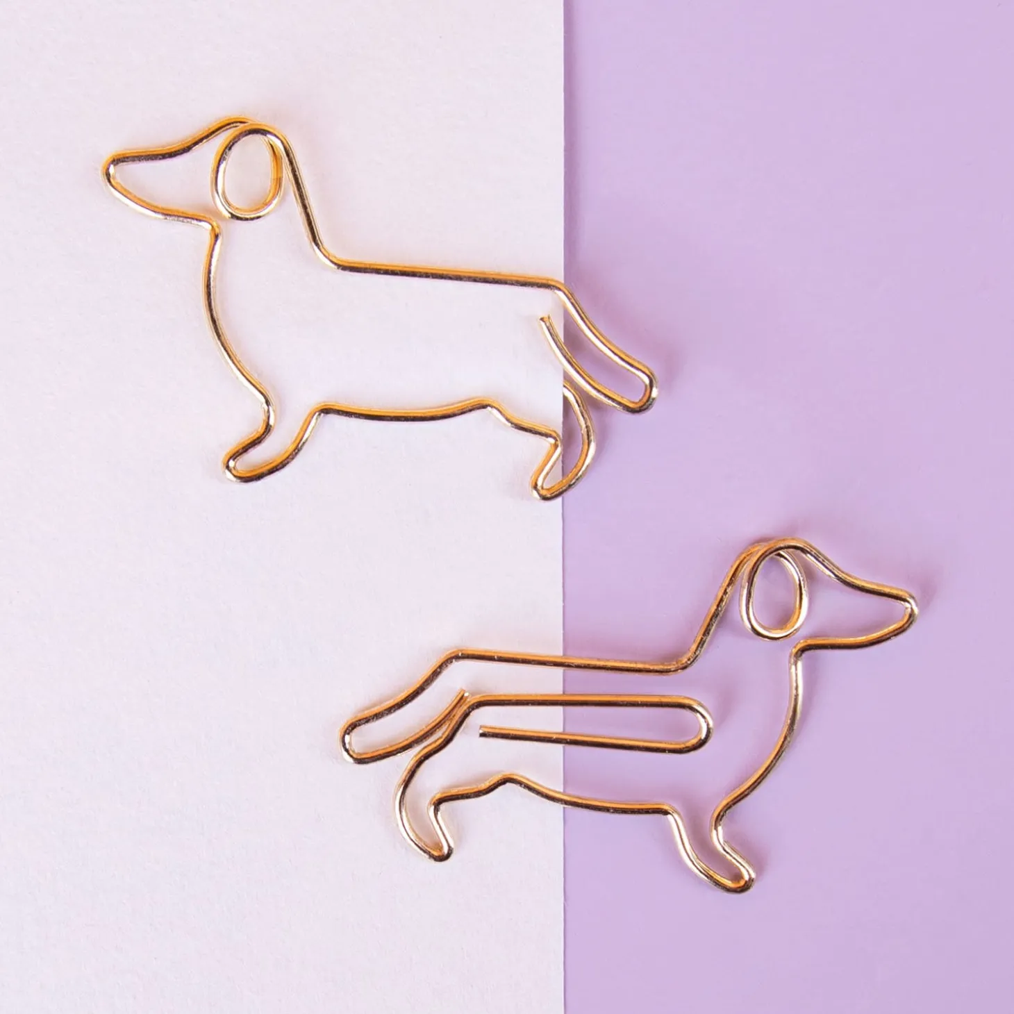 Huisdier paperclips (set van 5)