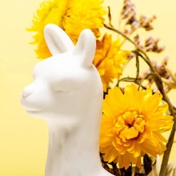 Lama bloempot