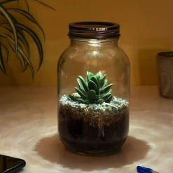 Lichtgevend terrarium
