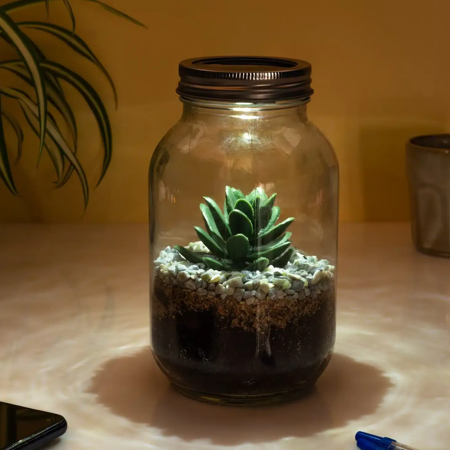 Lichtgevend terrarium
