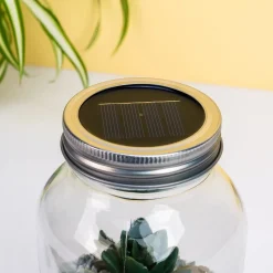 Lichtgevend terrarium