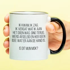 Mok Ik kwam, ik zag, ik vergat