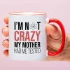Mok The Big Bang Theory I’m Not Crazy