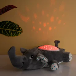 Olifant projector