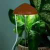 Paddenstoel plantenlamp
