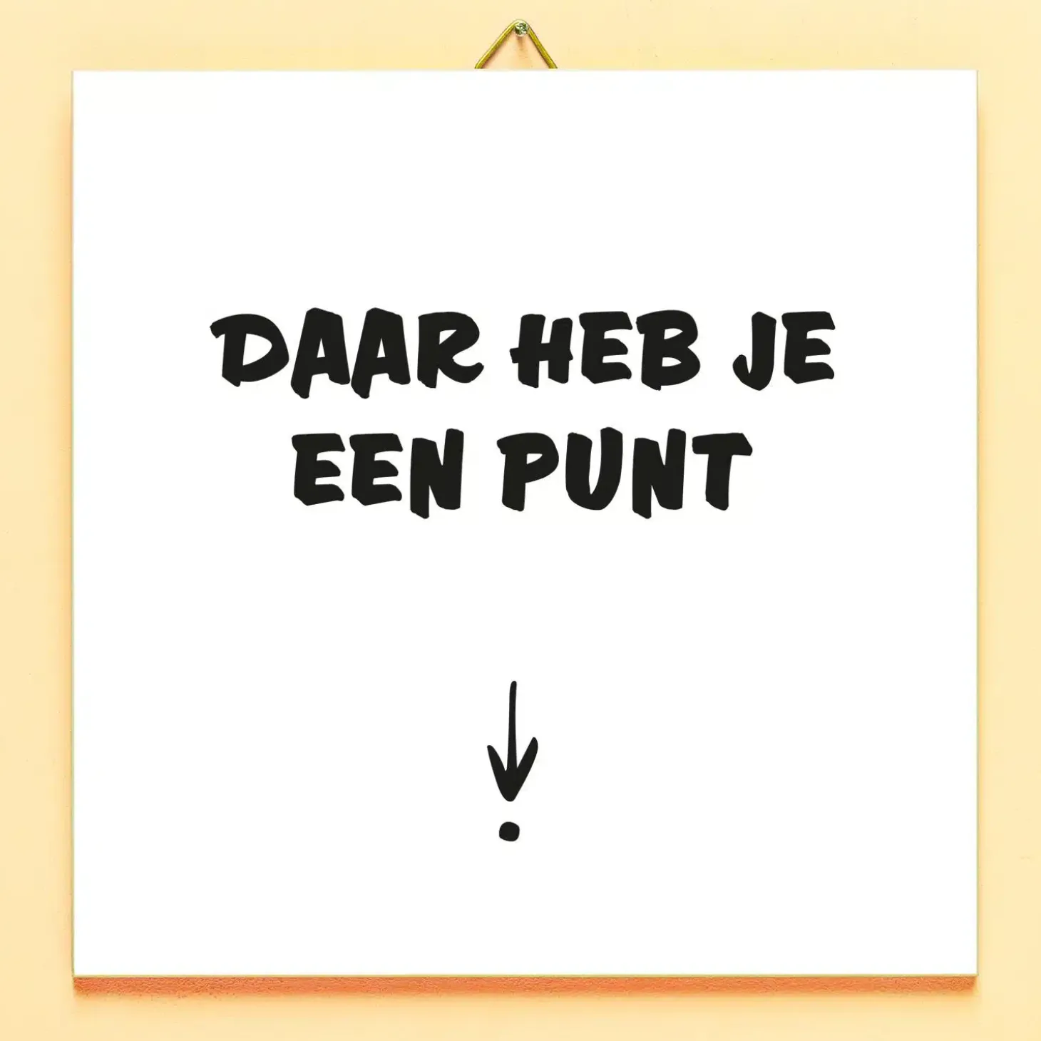 Tegeltje Daar heb je een punt