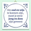 Tegeltje Jong en dom